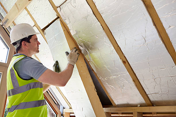 Best Residential Insulation in Seward, AK